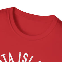 Load image into Gallery viewer, Tata Island Swim Club Funny Credit Card Captain Softstyle T-Shirt