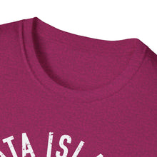 Load image into Gallery viewer, Tata Island Swim Club Funny Credit Card Captain Softstyle T-Shirt