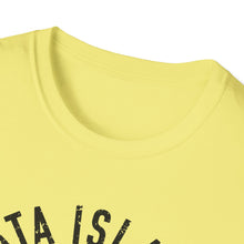 Load image into Gallery viewer, Tata Island Swim Club Funny Credit Card Captain Softstyle T-Shirt
